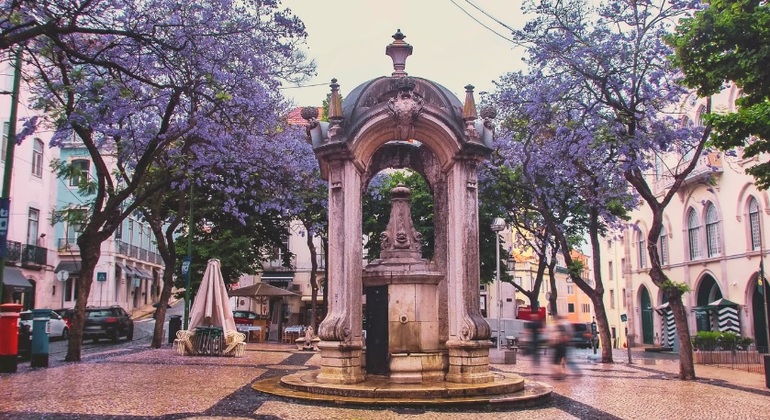 Visite gratuite de Lisbonne depuis le cœur avec un autochtone Portugal — #6
