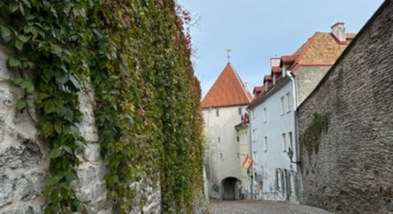 explore-medieval-tallinn-merchant-house-architecture-es-1