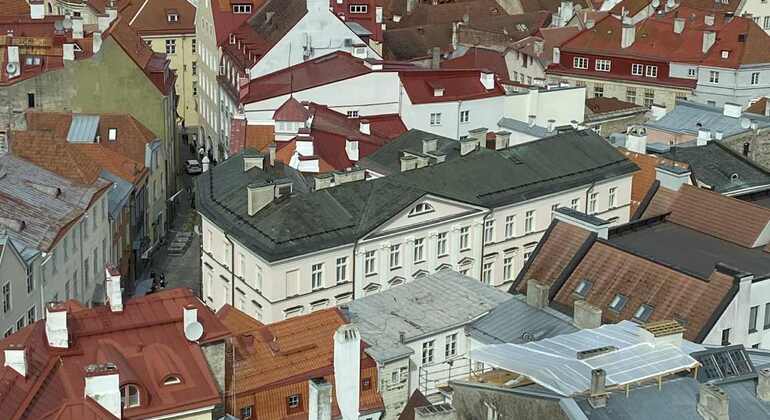 Kostenlose Tour durch die mittelalterlichen Straßen Tallinns Estland — #10