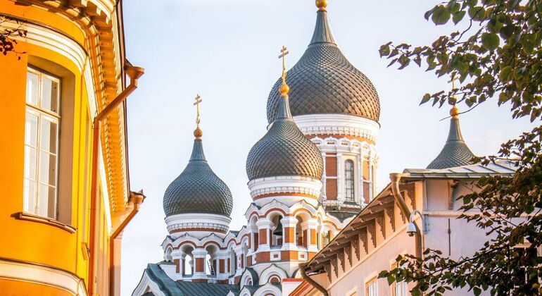 Free Tour: Discover Tallinn's Hidden Medieval Secrets Estonia &mdash; #7