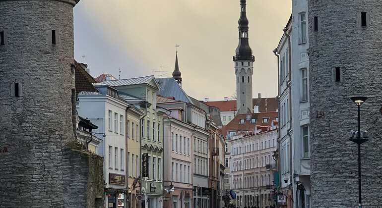 Kostenlose Tour durch die mittelalterlichen Straßen Tallinns Estland — #7