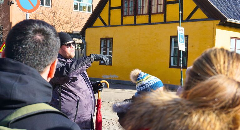 Oslo History, Art & Secrets Tour