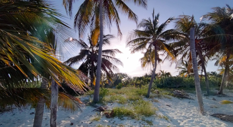fun-free-cancun-adventure-es-1