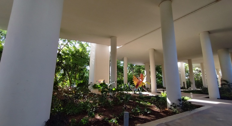 fun-free-cancun-adventure-es-3