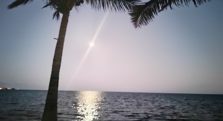 fun-free-cancun-adventure-es-8