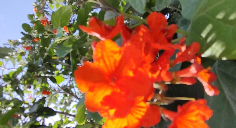 fun-free-cancun-adventure-es-14