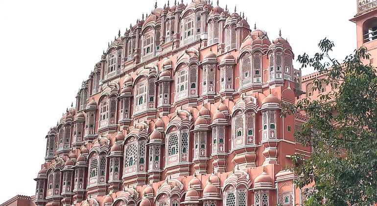 Excursão privada de dia inteiro à cidade de Jaipur Índia — #7