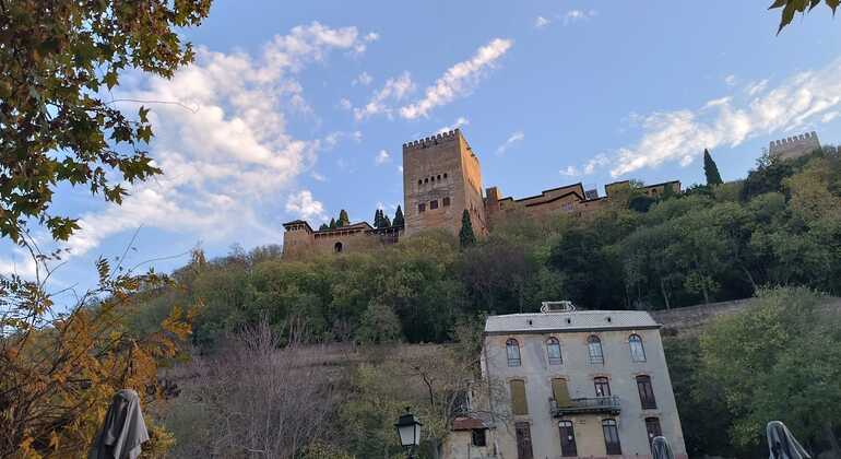 Degustazione di vini e tour a piedi della città di Granada Spagna — #6