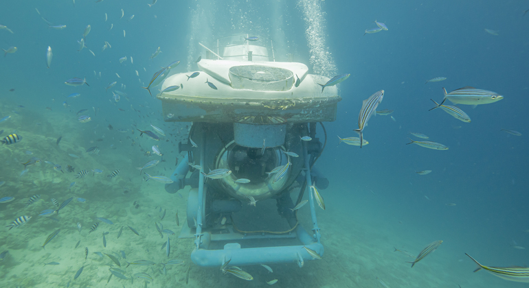 Hurghada: Sindbad U-Boote Rotes Meer Unterwasser-Tour Ägypten — #5