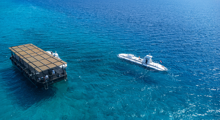 Hurghada: Sindbad U-Boote Rotes Meer Unterwasser-Tour Ägypten — #15