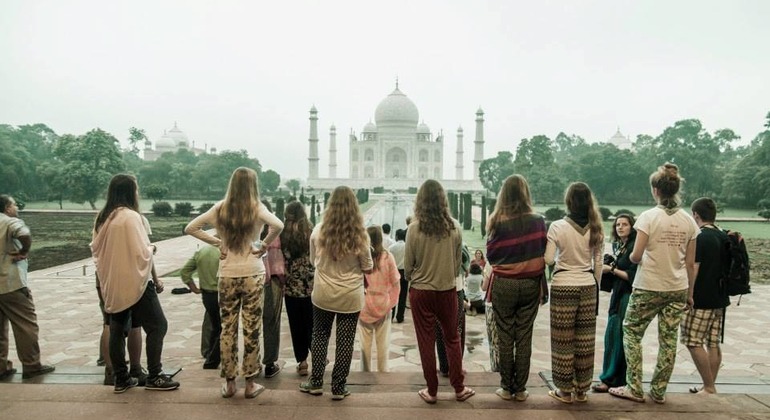 Tour From Delhi - Sunrise Taj Mahal