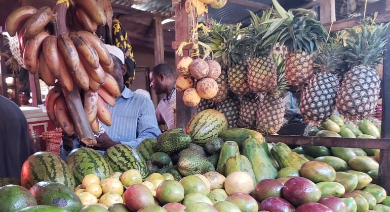 Beyond the Alleys Zanzibar's Stone Town Hidden Pathways Tour Tanzania — #3