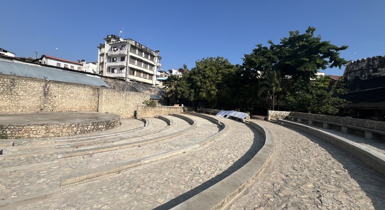 Beyond the Alleys Zanzibar's Stone Town Hidden Pathways Tour Tanzania — #15