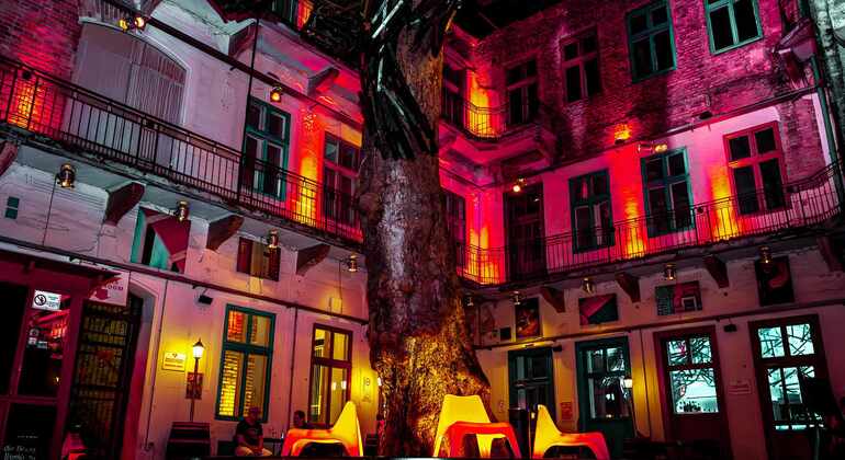 Nochevieja en Budapest con entrada VIP Hungría &mdash; #8