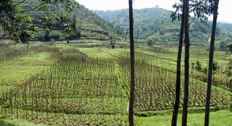 Circuit de la journée commémorative de Ntarama et Nyamata Fournie par Peter Langat