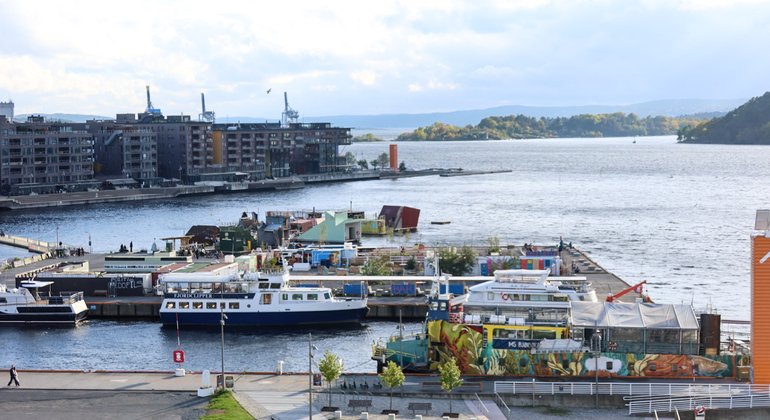 christmas-tour-in-oslo-with-a-professional-chef-es-5