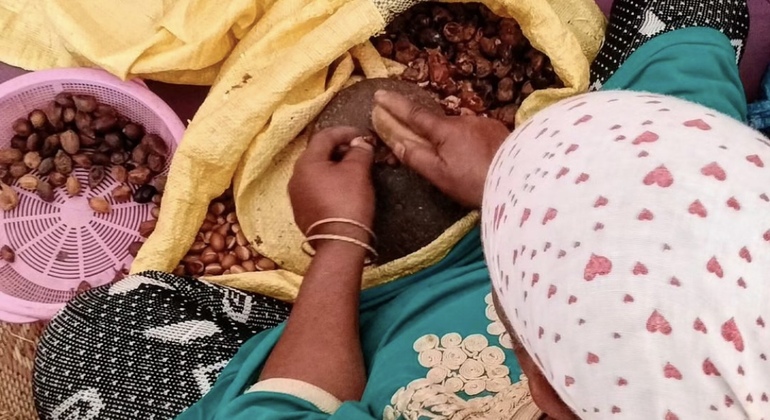 Marrakech To Essaouira Mogador Full Day Trip Morocco — #6