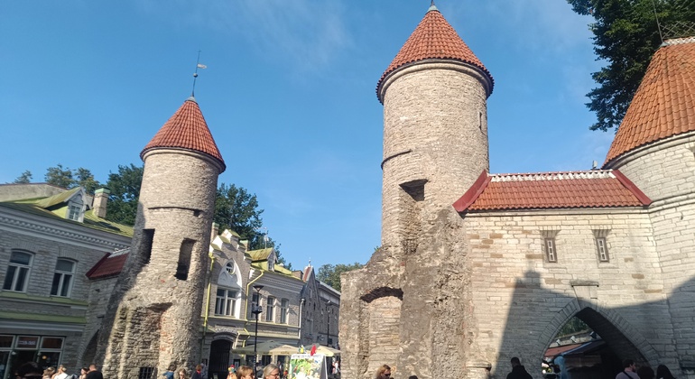 Kostenlose Tour: Das tägliche Leben im mittelalterlichen Tallinn Estland — #10