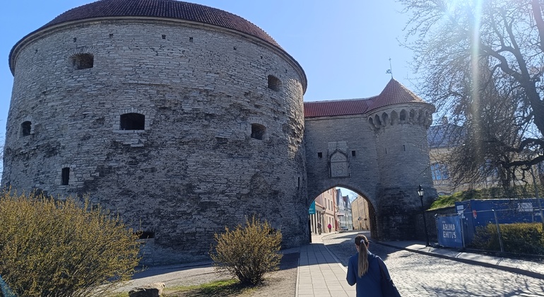 Kostenlose Tour: Das tägliche Leben im mittelalterlichen Tallinn Estland — #17