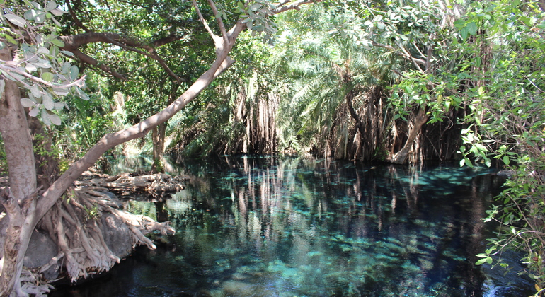 Tour de Aguas Termales en Arusha Operado por Free Tour Arusha