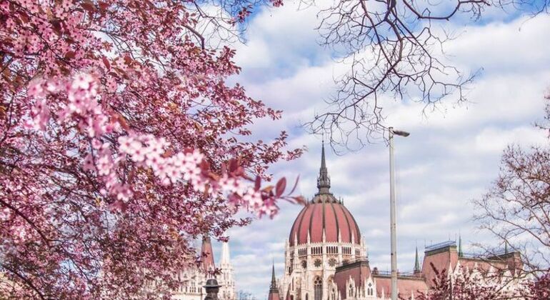 budapest-views-stories-a-unique-city-tour-es-10