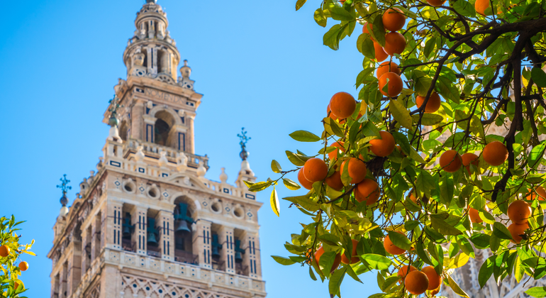 Essential Free Tour Seville: Two Hours with an Official Guide Spain &mdash; #2