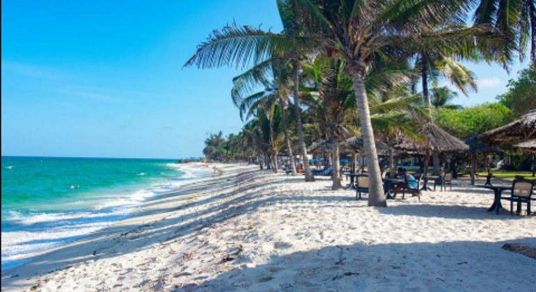 Kostenlose Tour durch Mombasa  Kenia &mdash; #3