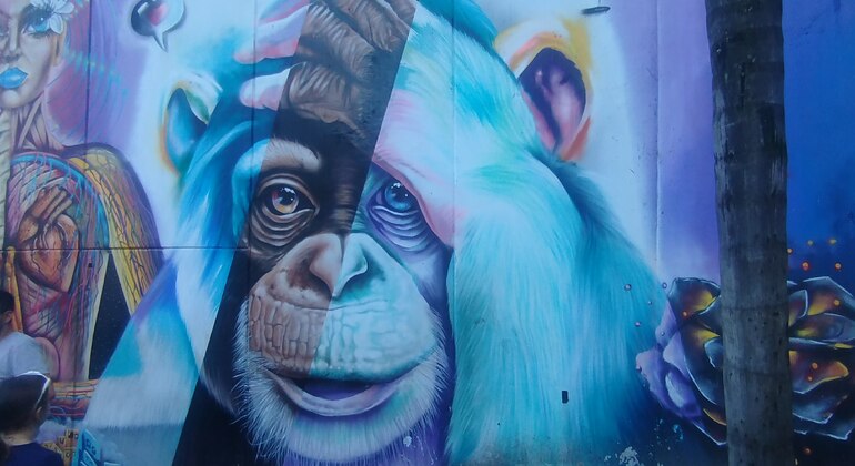 Medellín Stadtrundfahrt Kolumbien — #7