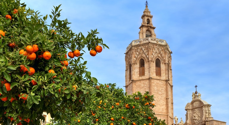 Recorrido privado a pie por lo más destacado de Valencia