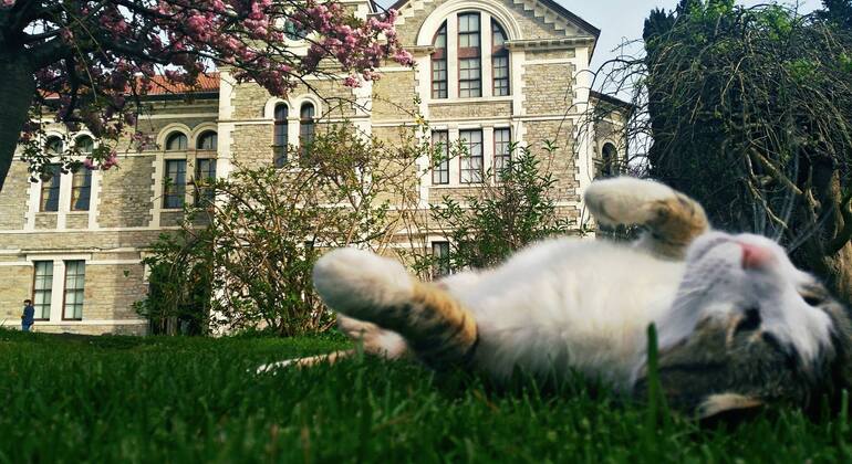 Exclusive Bosphorus View at Rumeli Turkey &mdash; #6