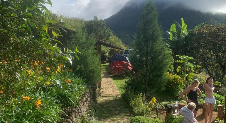 Trekking et camping dans la chaîne de montagnes Knuckles Sri Lanka — #5