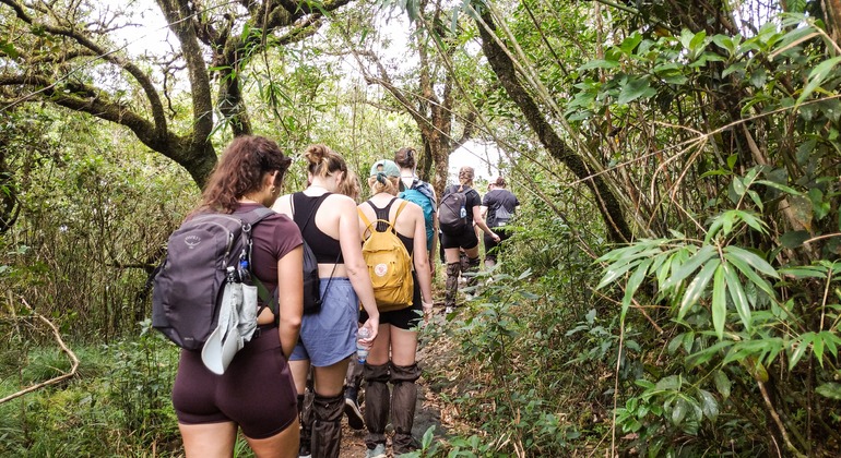 Trekking et camping dans la chaîne de montagnes Knuckles Sri Lanka — #9