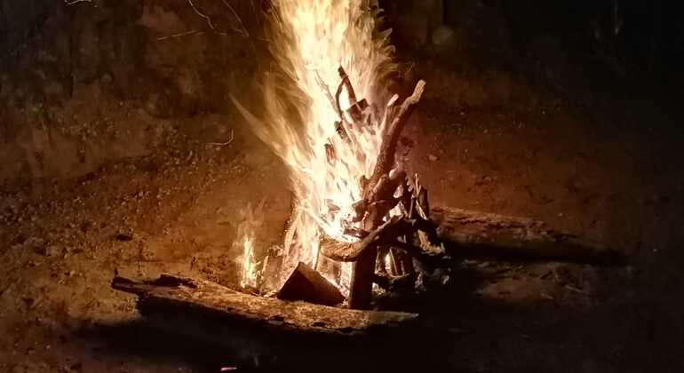 Trekking et camping dans la chaîne de montagnes Knuckles Sri Lanka — #26