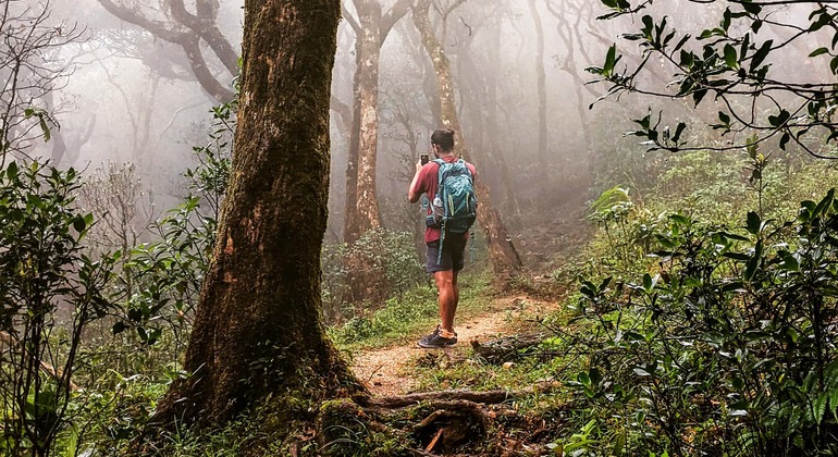 Trekking et camping dans la chaîne de montagnes Knuckles Sri Lanka — #33