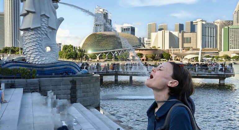 Vivere, lavorare, divertirsi: il tour gratuito “The Singapore Way” Singapore &mdash; #4
