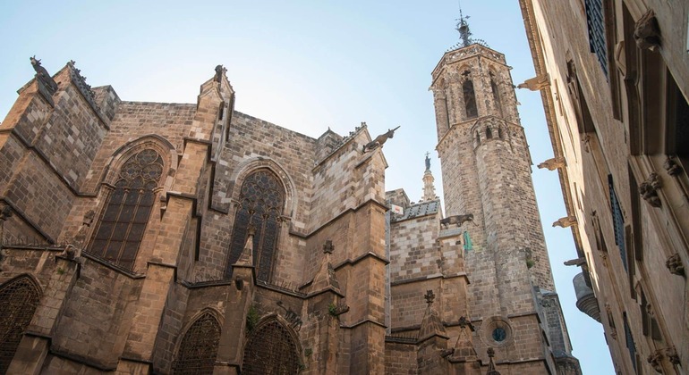 Barcelona Medieval: Catedral, Barrio Gótico y más España — #12