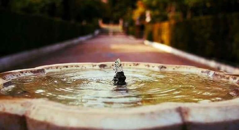 Guided Visit to the Real Alcazar of Seville Spain — #4