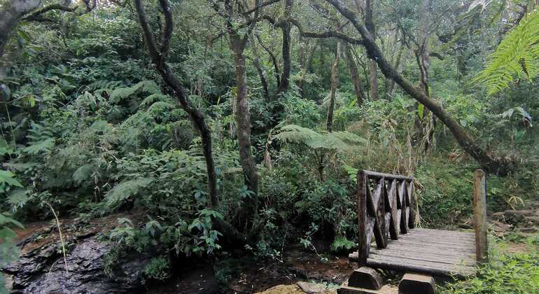 Escursione di un giorno alla cascata Knuckles Sri Lanka — #9