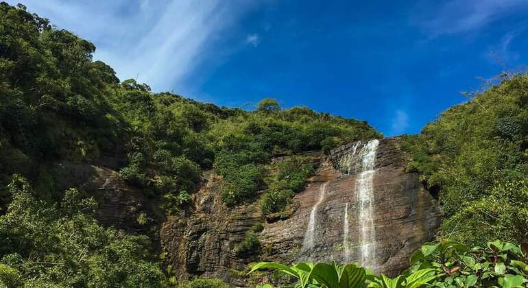 Escursione di un giorno alla cascata Knuckles Sri Lanka — #13