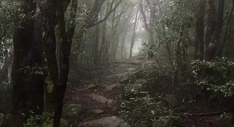 Escursione di un giorno alla cascata Knuckles Sri Lanka — #17