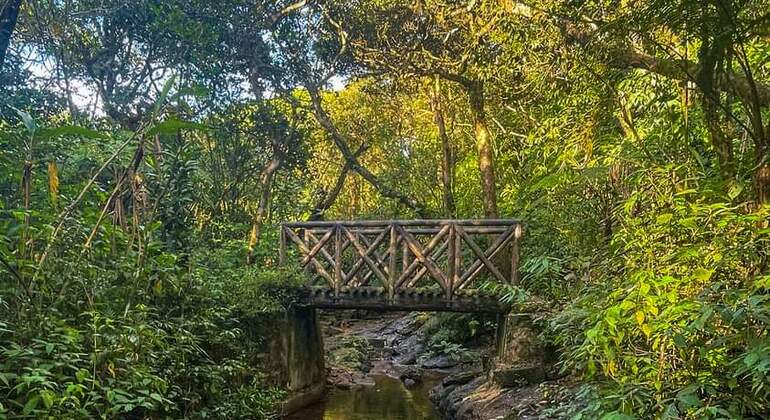 Escursione di un giorno alla cascata Knuckles Sri Lanka — #18