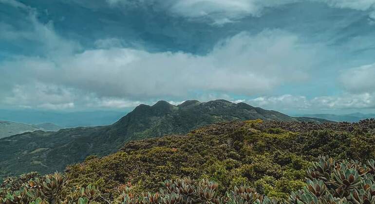 Escursione di un giorno alla cascata Knuckles Sri Lanka — #20