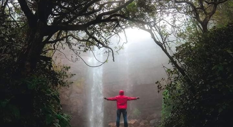 Escursione di un giorno alla cascata Knuckles Sri Lanka — #21