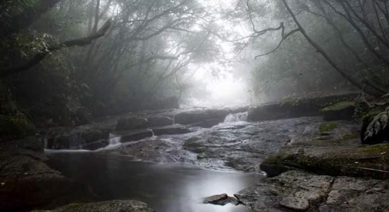 Escursione di un giorno alla cascata Knuckles Sri Lanka — #23