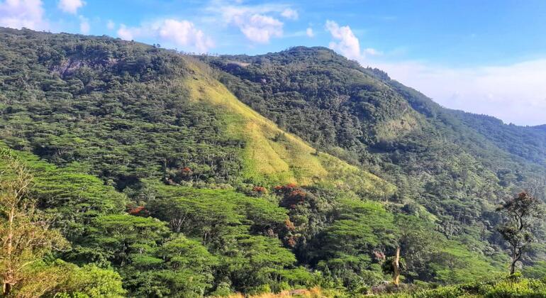 Escursione di un giorno alla cascata Knuckles Sri Lanka — #24