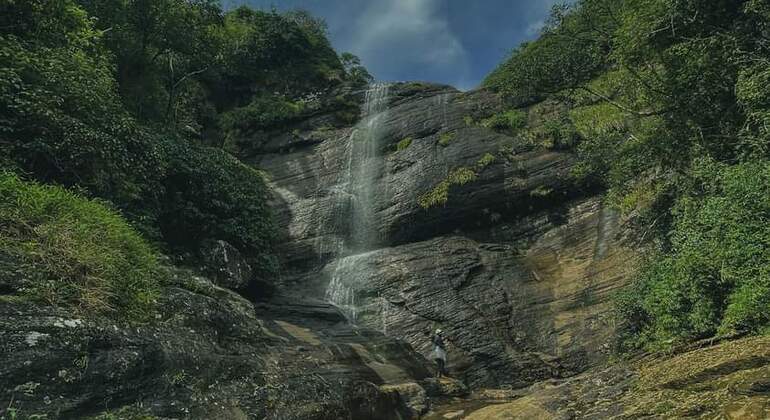 Escursione di un giorno alla cascata Knuckles Sri Lanka — #25