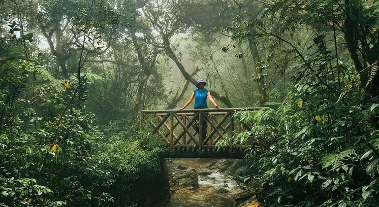 Escursione di un giorno alla cascata Knuckles Sri Lanka — #26