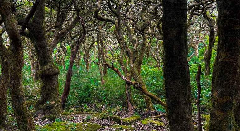 Escursione di un giorno alla cascata Knuckles Sri Lanka — #29