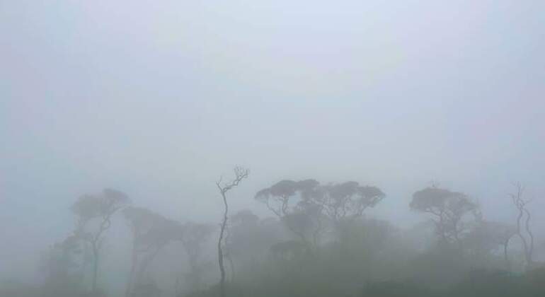 Escursione di un giorno alla cascata Knuckles Sri Lanka — #30