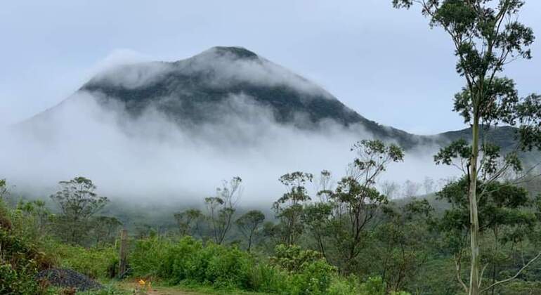 Escursione di un giorno alla cascata Knuckles Sri Lanka — #31